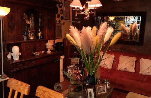 Benito Juarez Apartment | La CaSa De Las CaRpAs