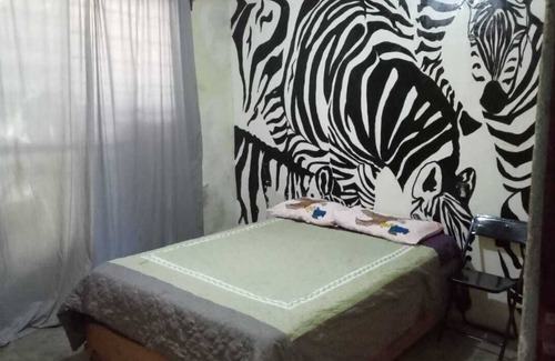Oaxaca Hostel | La Casa Del Nenufar - Hostel