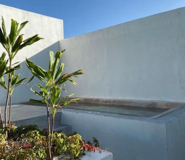 Tulum Apartment | La Veleta Modern Jungle Living