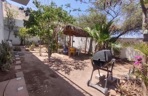 Costa Del Mar Apartment | Lot # 7 ~ Large, Energetic Baja House