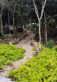 Cancun Apartment | Lovely Apartment HOEStel Pedreira!