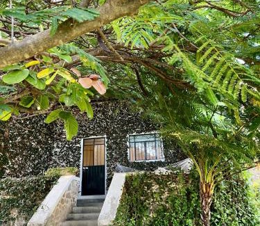 San Juan Cosala Hotel | Mama Chuy Hotel & Villas Ajijic