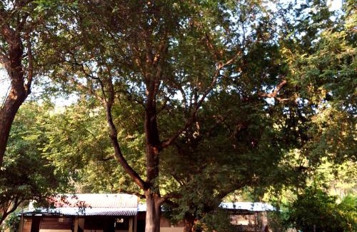 San Pedro Huamelula House | Monte al Mar, Barra de Cruz