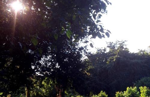 San Pedro Huamelula House | Monte al Mar, Barra de Cruz