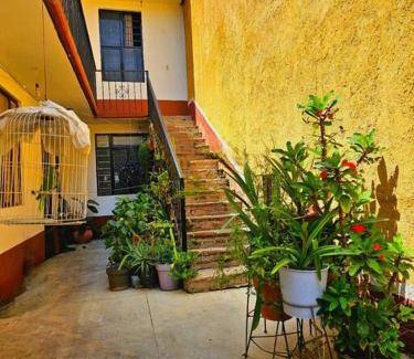 Santa Cruz Xoxocotlan Apartment | 15 m² Apartment ∙ 1 bedroom ∙ 2 guests