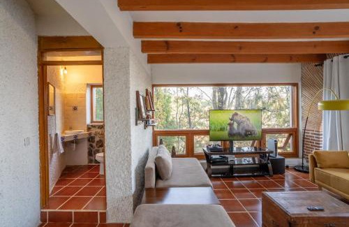 Cuernavaca House | New family house with pool jacuzzi and forest view