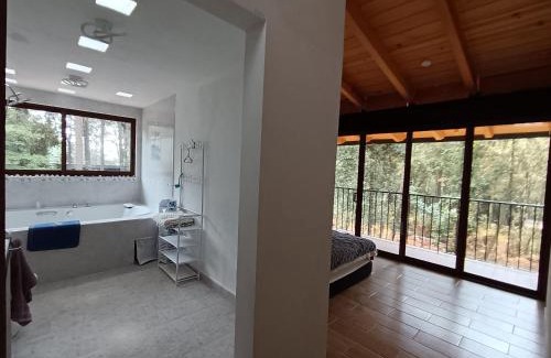 Valle de Bravo Apartment | New house in the forest