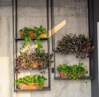 San Felipe del Agua Apartment | Palmas Luxury Apartment 104