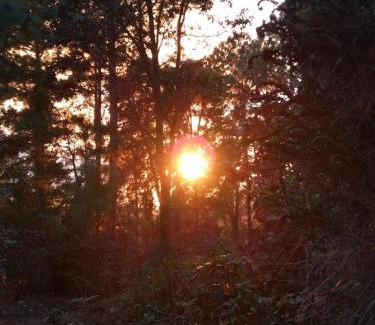 San Jose del Pacifico Ski Chalet | Rancho Samadhi