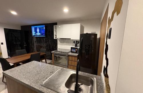 Queretaro Apartment | Riscos Suite Loft