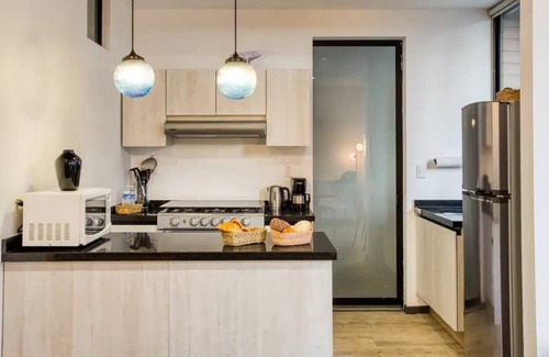 Colonia Roma Apartment | Roma Ferrer l Unique 1 BR in Mexico City