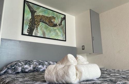Costera Acapulco Apartment | Suite frente al mar en Torres Gemelas Acapulco