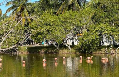 San Crisanto Villa | Unique Beachfront Casa Kyma, Pool, San Crisanto, Yucatan