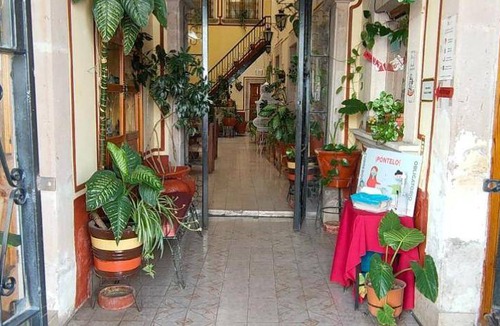 Jerez de Garcia Salinas Hotel | 14 m² Hotel ∙ 4 guests