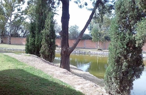 San Francisco de los Romos Cabin | 15 cabins in and Exclusive and private area inside the Valladolid Acuatic Park