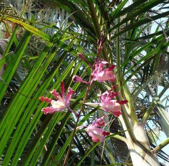 Tlacotalpan Bed & Breakfast | 18 m² Bed and breakfast ∙ 2 guests