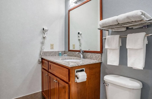 Denham Springs Hotel | 2 Modern Studios w/Free Breakfast & Wi-Fi Near LSU, Zoo & Downtown Baton Rouge
