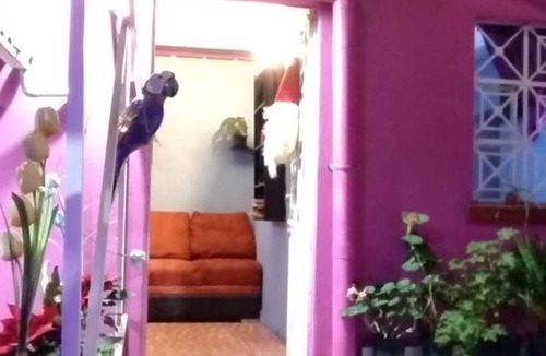 Venustiano Carranza Bed & Breakfast | 20 m² Bed and breakfast ∙ 8 guests