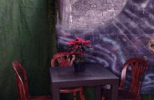 Venustiano Carranza Bed & Breakfast | 20 m² Bed and breakfast ∙ 8 guests