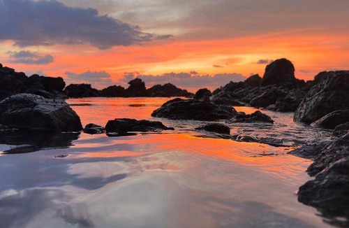 Troncones Bed & Breakfast | 20 m² Bed and breakfast ∙ 2 guests