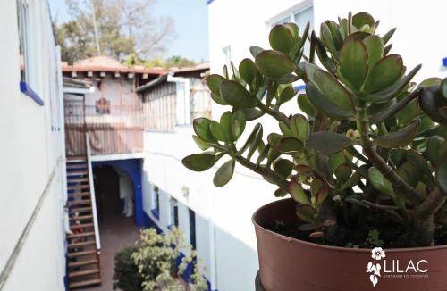 Del Carmen Apartment | 50 m² Apartment ∙ 1 bedroom ∙ 2 guests