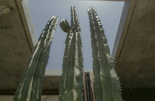 Puerto Escondido House | A sophisticated atmosphere on a virgin beach.