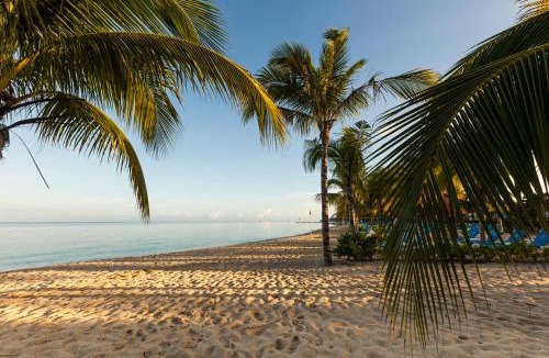 Costa Maya Resort | Allegro Cozumel All-Inclusive