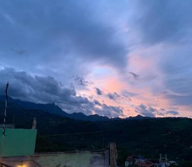 Xilitla House | Anamaya Hostal