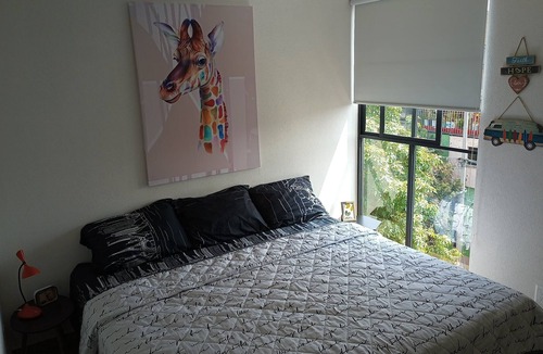 Downtown Mexico City Apartment | Apartment with Balcony in downtown Mexico City