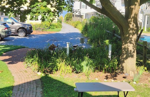 Rock Hall House | BAYSIDE BUNGALOW