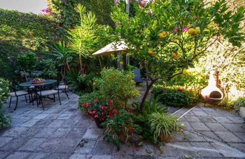 Colonia San Antonio House | Beautiful Colonial Casa in San Miguel de Allende