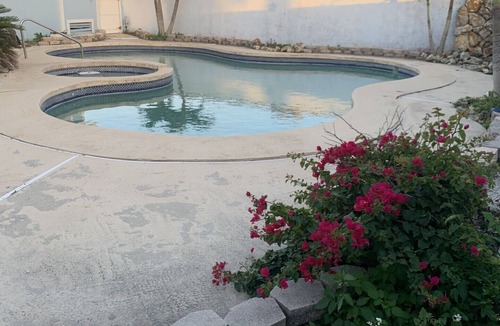 Wilbur-By-The-Sea Apartment | "Beverly's Place" Beachfront Apt Daytona Beach - just steps away from the ocean!