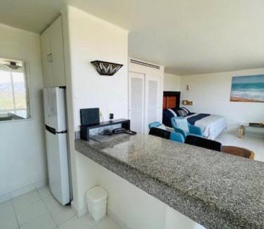Ixtapa Apartment | Bonito Loft