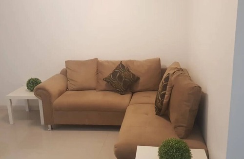 Chihuahua House | Brand New House.