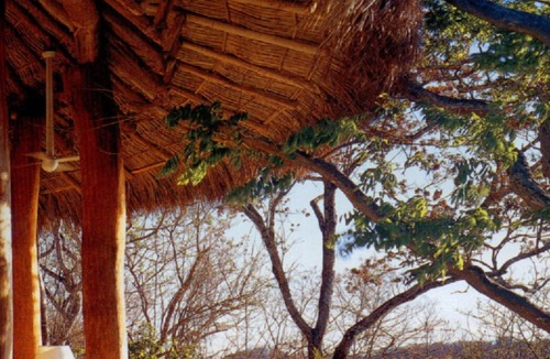 Ixtapa Villa | Breath Taking Cliffside Villa in Punta Ixtapa, Mexico's Top Private Resort