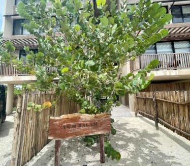 Isla Holbox Apartment | Breathtaking Ocean Vista Penthouse with Private Pool