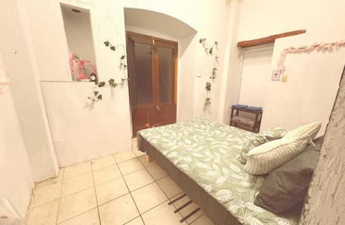 Zacatecas Centro Apartment | Bugambilias