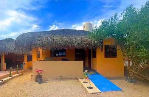 Cabo Pulmo Other | Bungalows Cabo Pulmo
