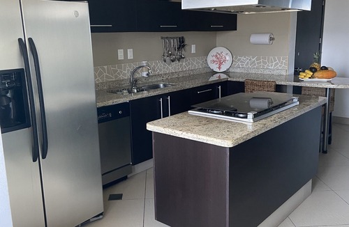 Ixtapa Condo | BVG "Penthouse", largest unit w/XL wrap around deck !