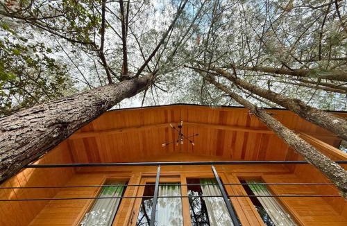 San Jose del Pacifico Apartment | Cabaña Dalia at Casa Elba