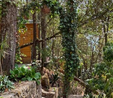 San Jose del Pacifico Apartment | Cabaña Dalia at Casa Elba