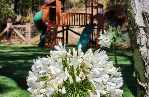 Tapalpa Ski Chalet | Cabaña del Bosque Tapalpa Country Club L7M15 QueridaEstancia