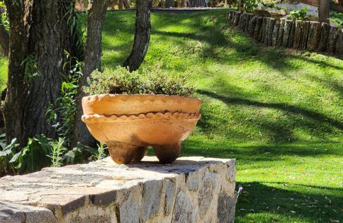 Tapalpa Ski Chalet | Cabaña del Bosque Tapalpa Country Club L7M15 QueridaEstancia