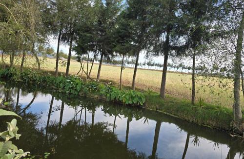 Zacatlan Villa | cabaña el rio 2