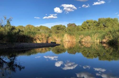 Pabellon de Arteaga Other | Cabaña Hacienda Ridvan