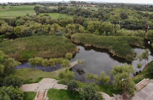 Pabellon de Arteaga Other | Cabaña Hacienda Ridvan