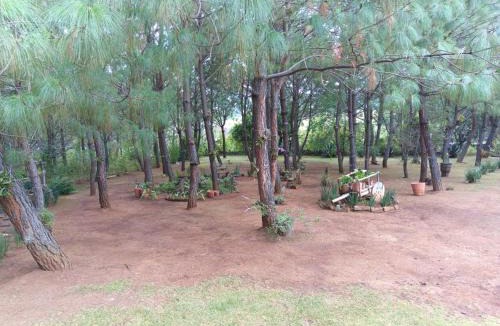 Atemajac de Brizuela Apartment | Cabañas Walddorf - Alcatraz