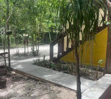 Xpujil Apartment | Cabañas Xpujil Calakmul Campeche con vista a la Selva