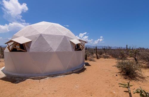 La Paz Other | Cactus Lodge Baja