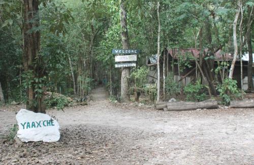 Calakmul Other | Campamento Yaax Che en Calakmul